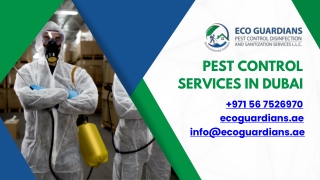 Eco Guardian – Trusted Pest Control Experts in Dubai