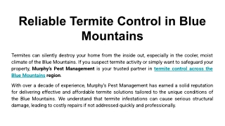 Reliable Termite Control in Blue Mountains