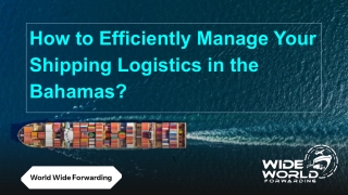 How to Efficiently Manage Your Shipping Logistics in the Bahamas_