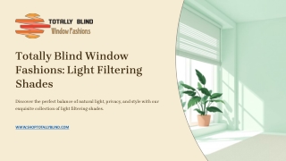 Totally Blind Window Fashions - Light Filtering Shades