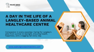 Understanding Pet Surgery Options Offered in Langley
