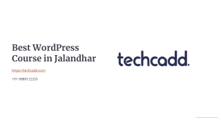 Best WordPress Course in Jalandhar