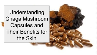 Understanding Chaga Mushroom Capsules and Their Benefits for the Skin