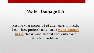 Water Damage LA