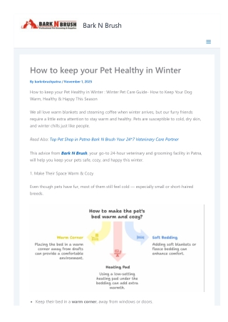 How to keep your Pet Healthy in Winter