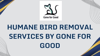 Humane Bird Removal Services by Gone for Good