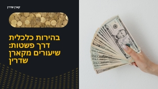 הוצאות מודעות, עושר מתמשך: התוכנית המינימליסטית של קארן שדרין