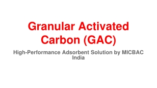 Granular Activated Carbon (GAC)