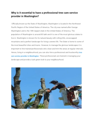 Why is it essential to have a professional tree care service provider in Washington