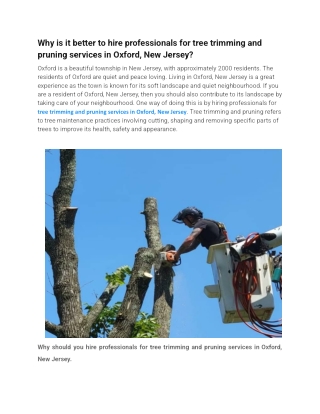 Why is it better to hire professionals for tree trimming and pruning services in Oxford, New Jersey
