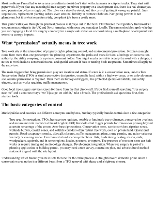 Local Tree Surgery: How to Get Permits and Permissions