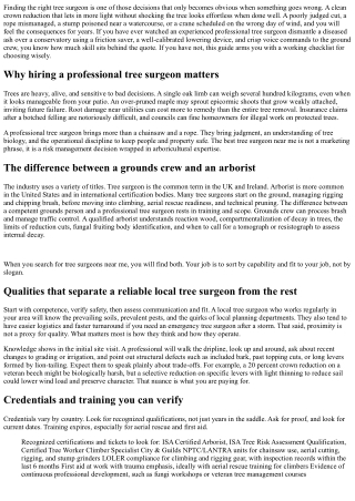 Best Tree Surgeon Near Me: Qualities to Look For