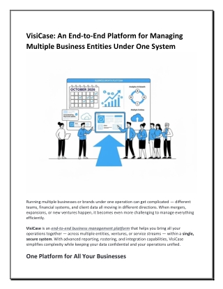 VisiCase An End-to-End Platform for Managing Multiple Business Entities Under One System