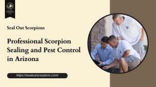 Professional Scorpion Sealing and Pest Control in Arizona
