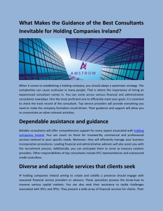 What Makes the Guidance of the Best Consultants Inevitable for Holding Companies Ireland