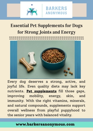 Pet Supplements for Dogs Promoting Strength, Mobility, and Wellness