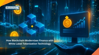 How Blockchain Modernizes Finance with White Label Tokenization Technology