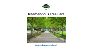 Treemendous Tree Care