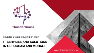 IT Services and Solutions in Gurugram and Mohali by thunder brains