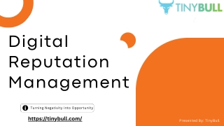Digital Reputation Management Solutions for Businesses in the USA: TinyBull