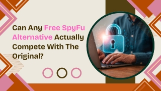 Can Any Free SpyFu Alternative Actually Compete With The Original ?