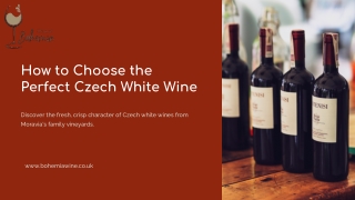 How to Choose the Perfect Czech White Wine for Any Occasion