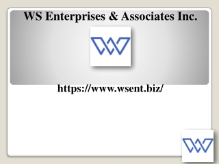 Shuttle Systems MVP, wsent.biz