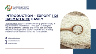 Introduction – Export 1121 Basmati Rice Easily