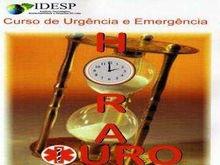 4 - Animais Peçonhentos