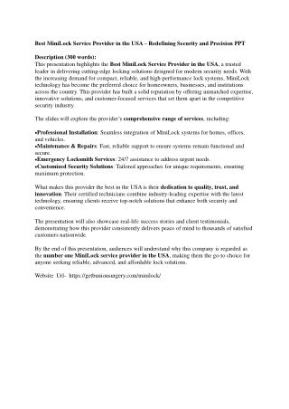 Best MiniLock Service Provider in the USA – Redefining Security and Precision