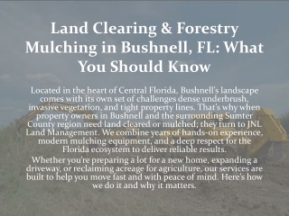 Land Clearing & Forestry Mulching in Bushnell, FL: What You Should Know