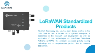 Reliable LoRaWAN Network Server Solutions by Manthink Technology China