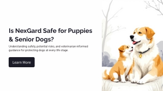 Is NexGard Safe for Puppies & Senior Dogs? Risks & Vet Advice