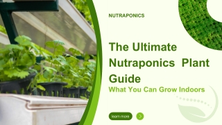 From Basil to Bok Choy: Explore the Diversity of Nutraponics Reviews