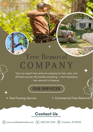 Rooted in Safety, Rising in Excellence – Your Trusted Tree Removal Experts