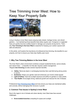 Tree Trimming Inner West_ How to Keep Your Property Safe