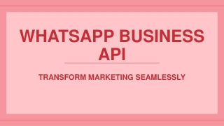 Transform Your Marketing Strategy Using WhatsApp Business API