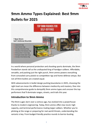 9mm Ammo Types Explained  Best 9mm Bullets for 2025