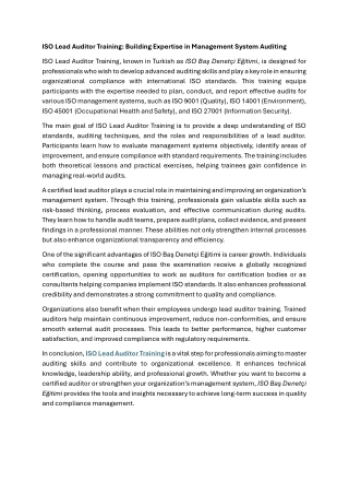 iso baş denetçi eğitimi