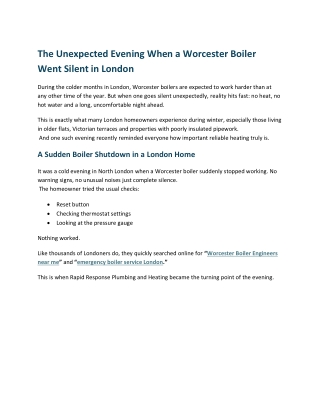 The Unexpected Evening When a Worcester Boiler  Went Silent in London