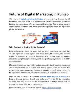 Future of Digital Marketing in Punjab