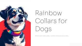 Rainbow Collars for Dogs