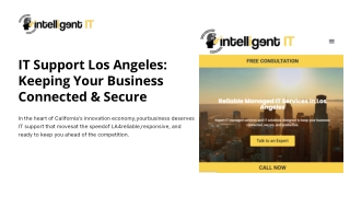 IT Management Solutions Los Angeles | Reliable Technical Support