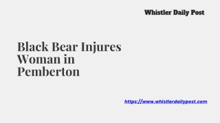 Black Bear Injures Woman in Pemberton - www.whistlerdailypost.com