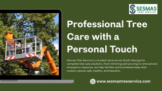 Professional Tree Care with a Personal Touch