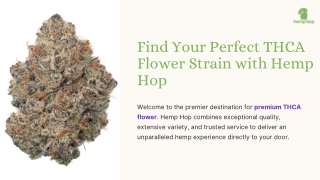 Best THCA Flower Online for Premium Strength and Fresh Aroma