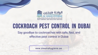 Get Rid of Cockroaches in Dubai with Al Waha Hygiene