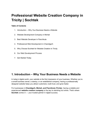 Professional Website Creation Company in Tricity _ Sochtek