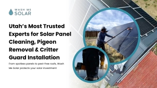 Professional Solar Panel Wash Services