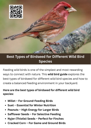Best Types of Birdseed for Different Wild Bird Species